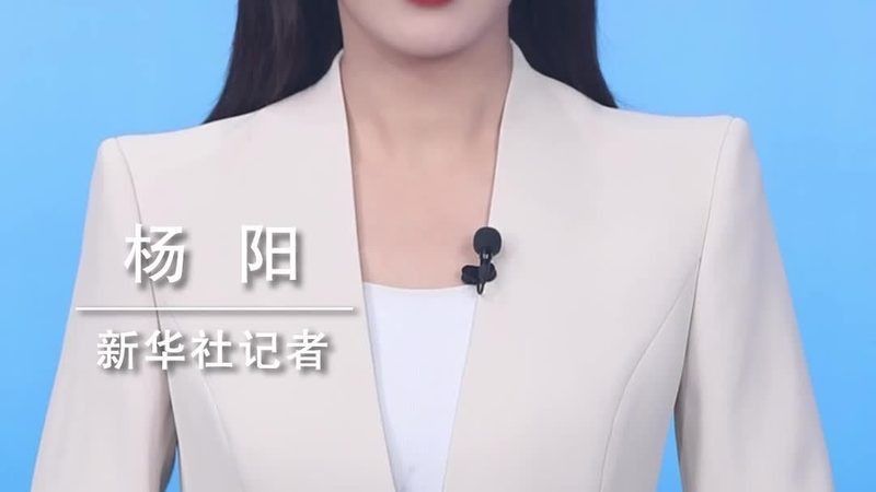 成都研发外包合同模板：关键要素与注意事项